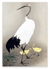 Ohara Koson - Kranich mit Küken