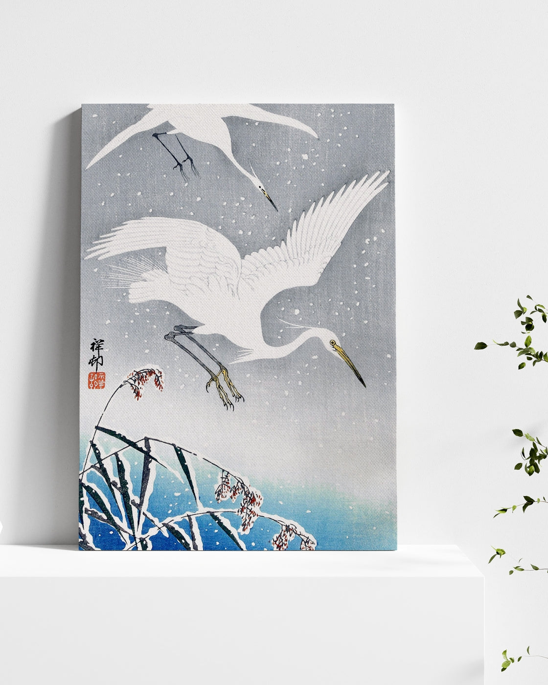 stretched-canvas