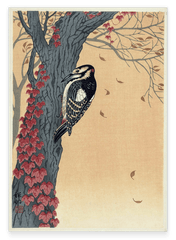 Ohara Koson - Specht am Baum