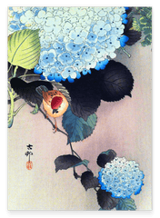 Ohara Koson - Vogel auf Blütenbaum