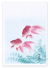 Ohara Koson - Rosa Fische