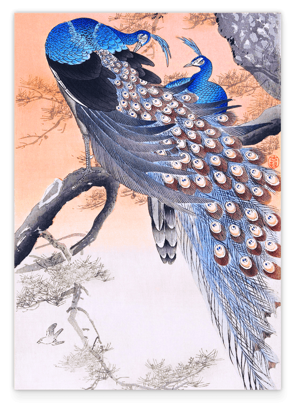 Ohara Koson - Zwei blaue Pfauen