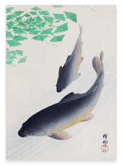 Ohara Koson - Zwei Koi Karpfen