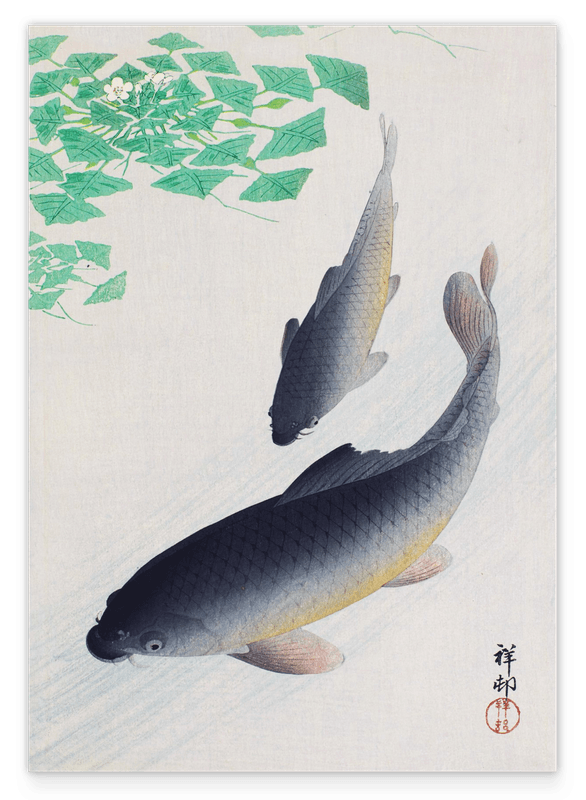 Ohara Koson - Zwei Koi Karpfen