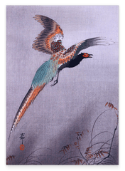 Ohara Koson - Fliegender Fasan