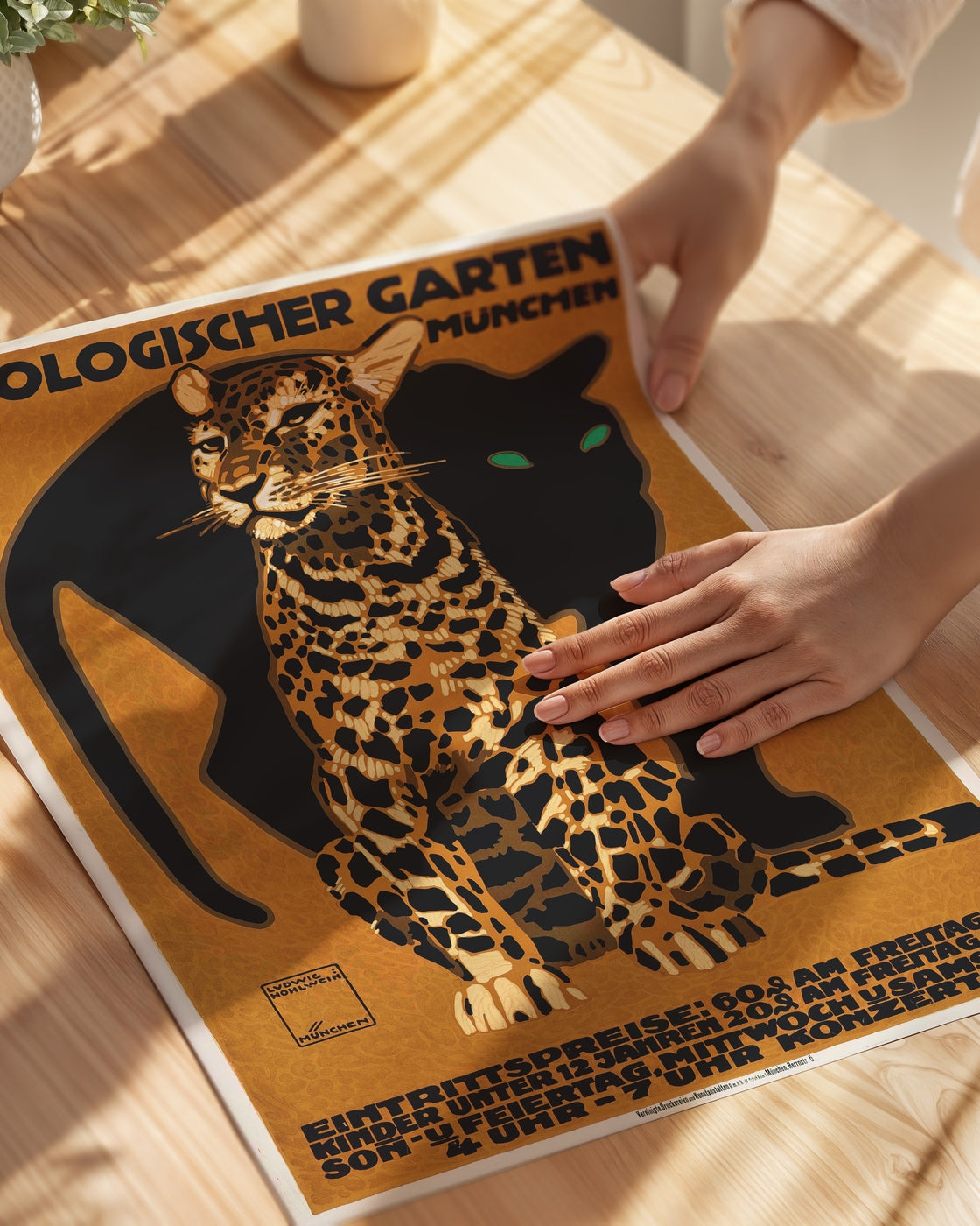 poster
