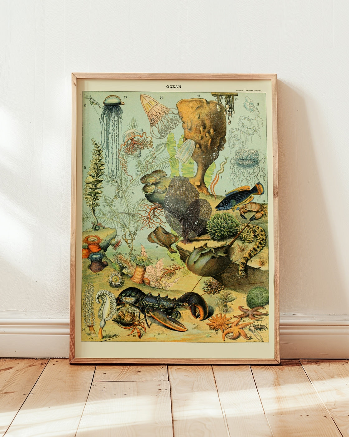 poster