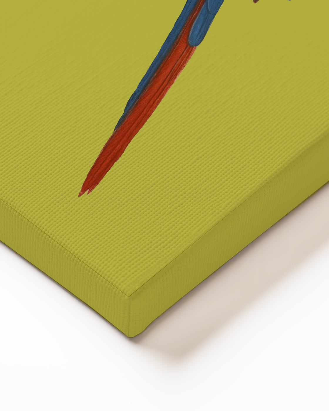 stretched-canvas