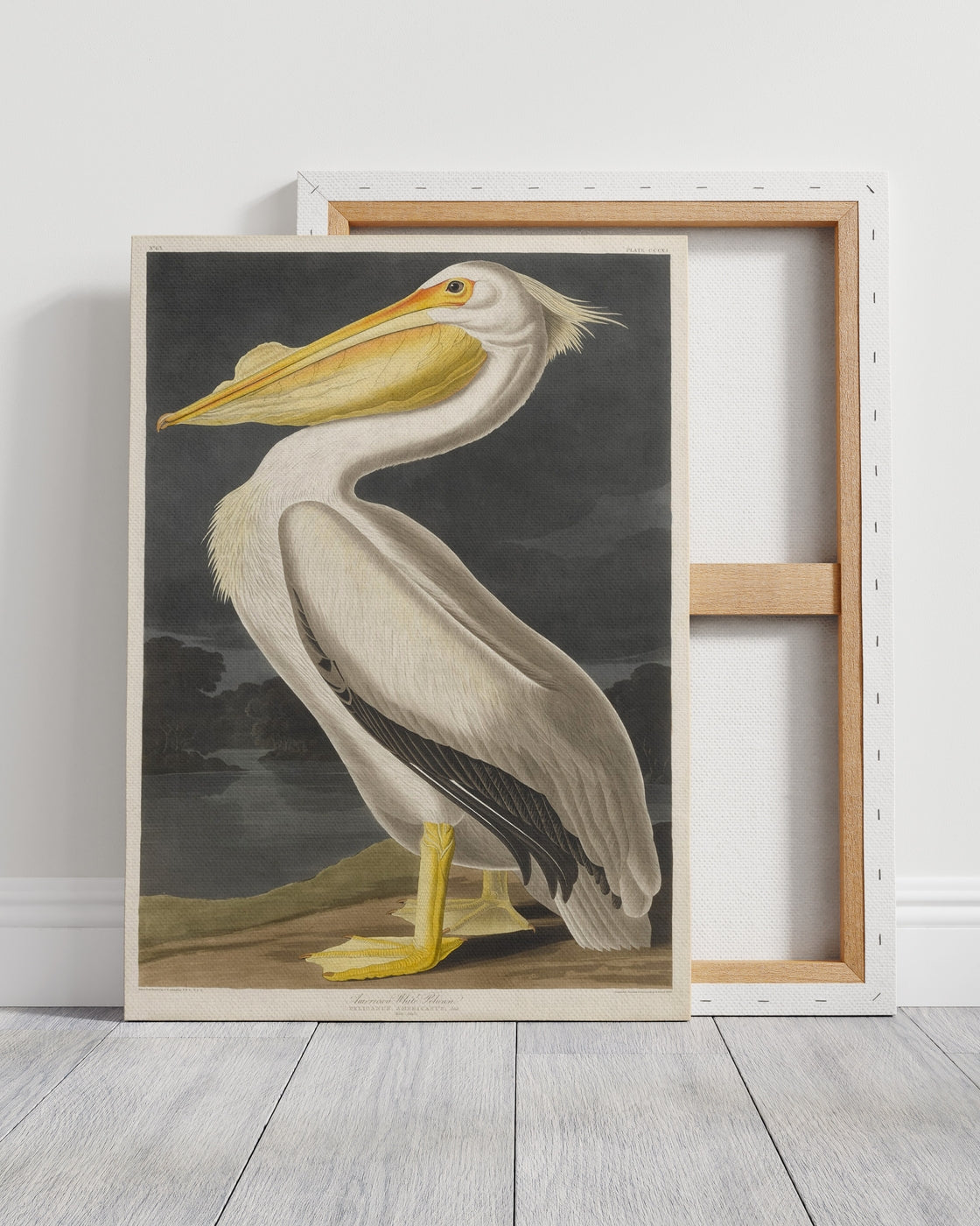 stretched-canvas