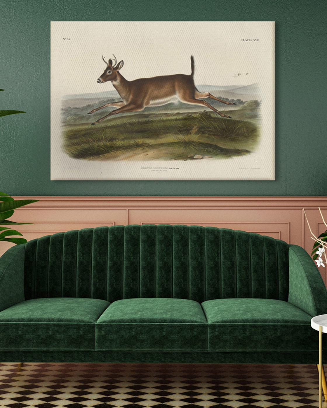 stretched-canvas