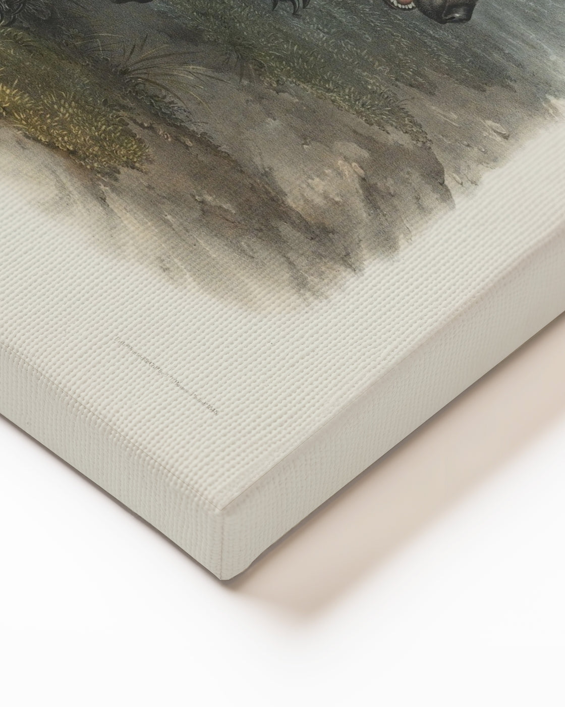stretched-canvas