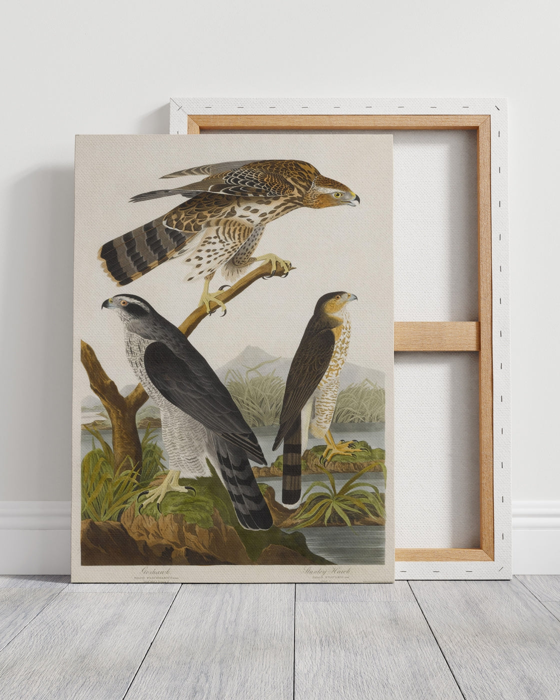 stretched-canvas