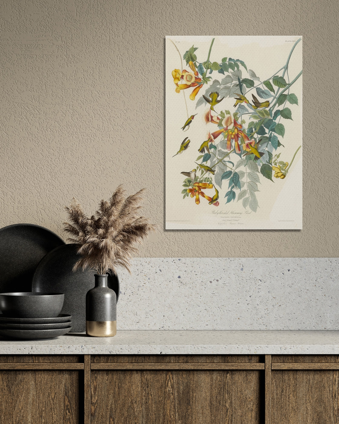 stretched-canvas