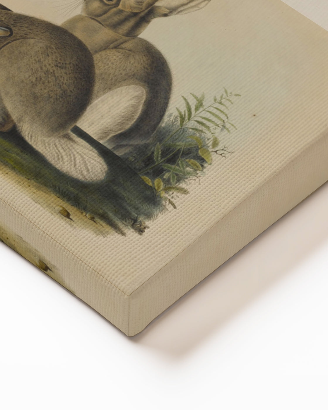 stretched-canvas