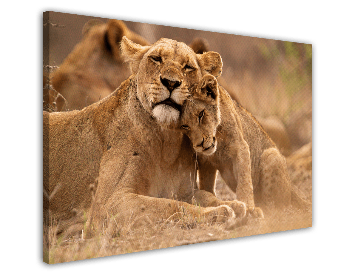 stretched-canvas