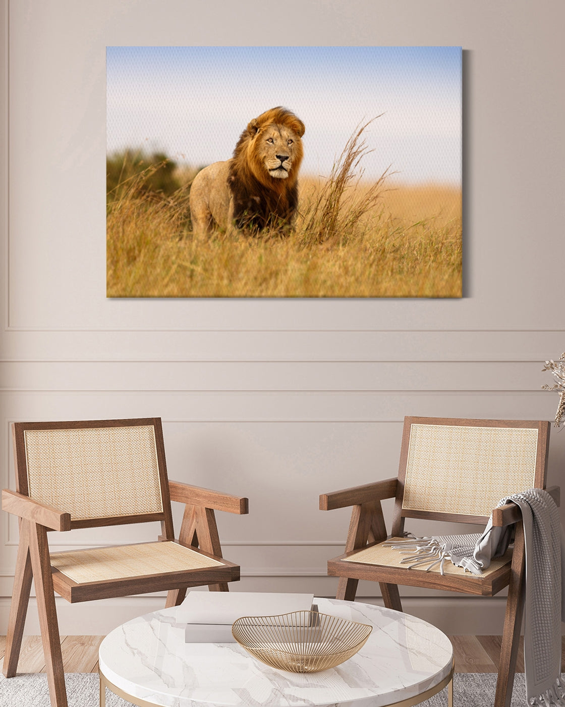 stretched-canvas