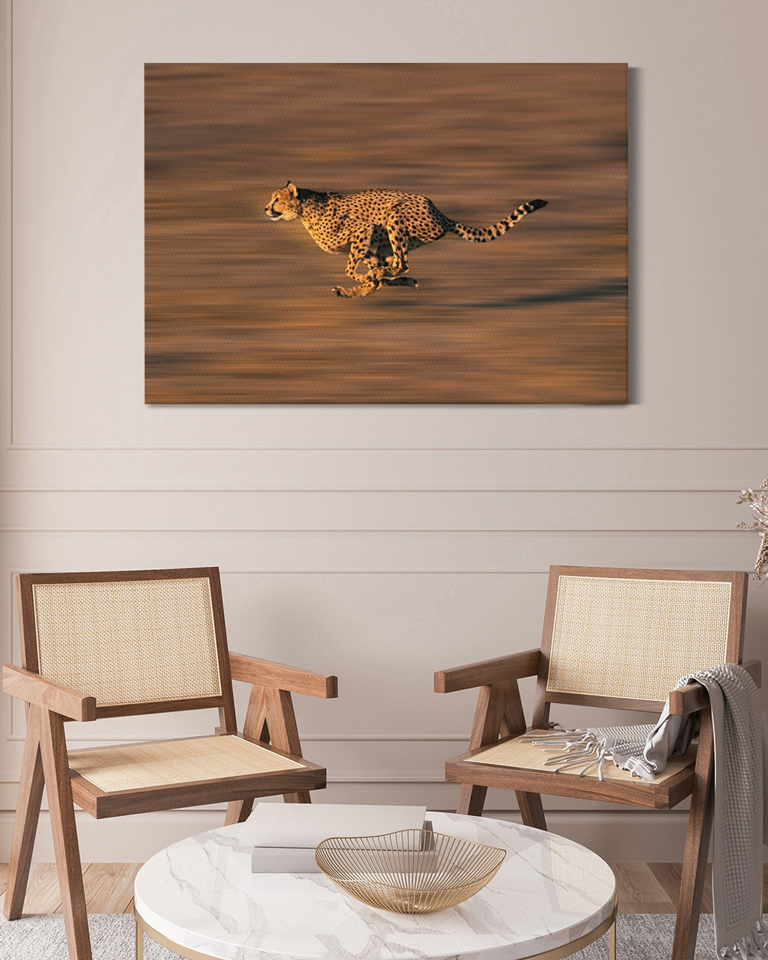 stretched-canvas
