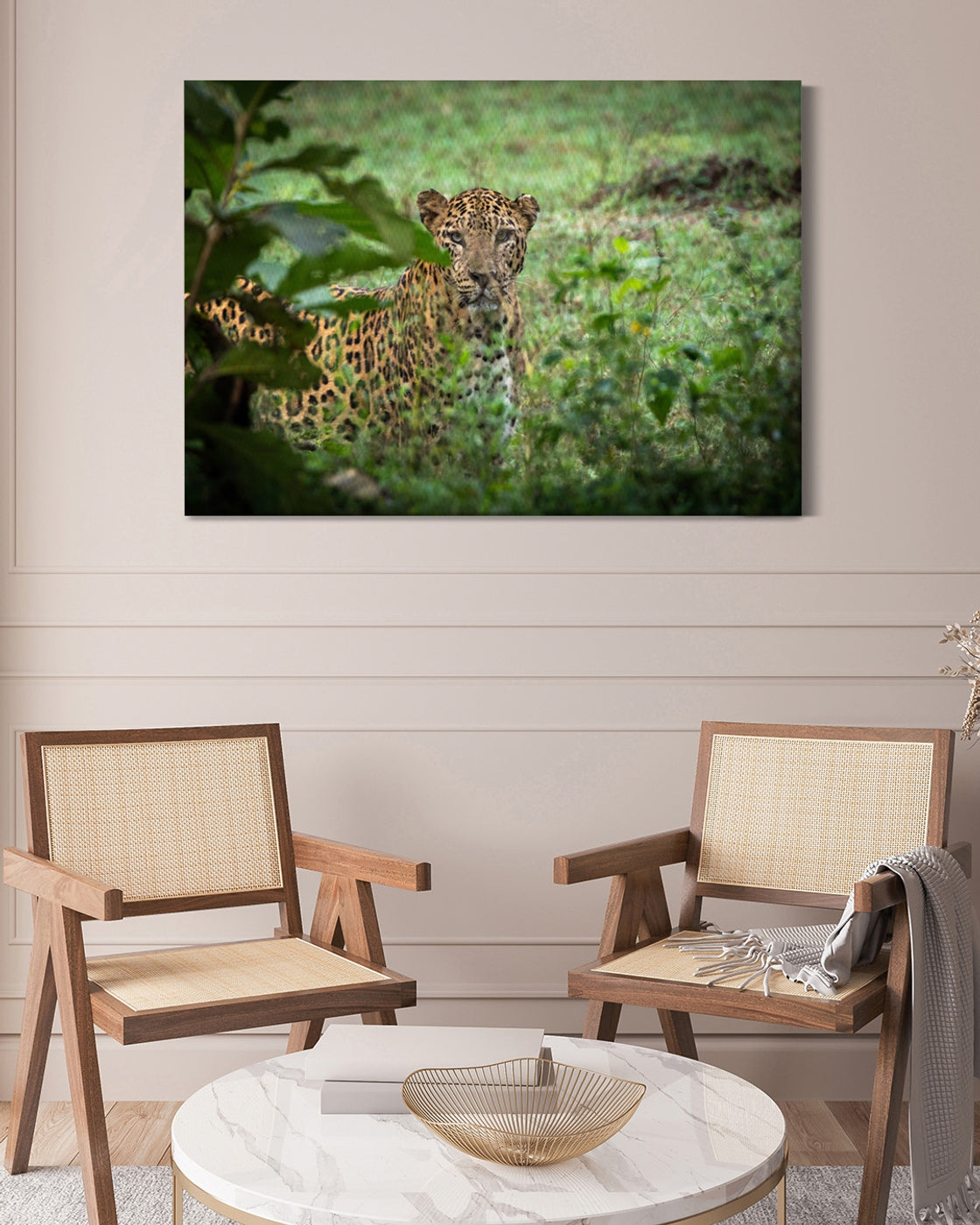 stretched-canvas