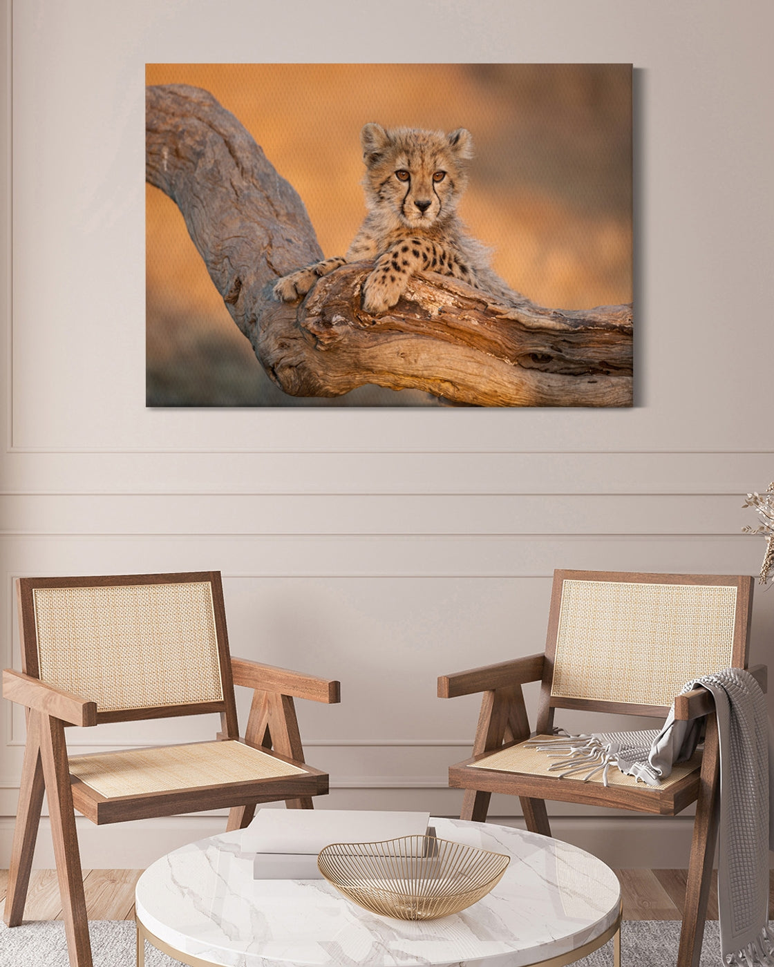 stretched-canvas