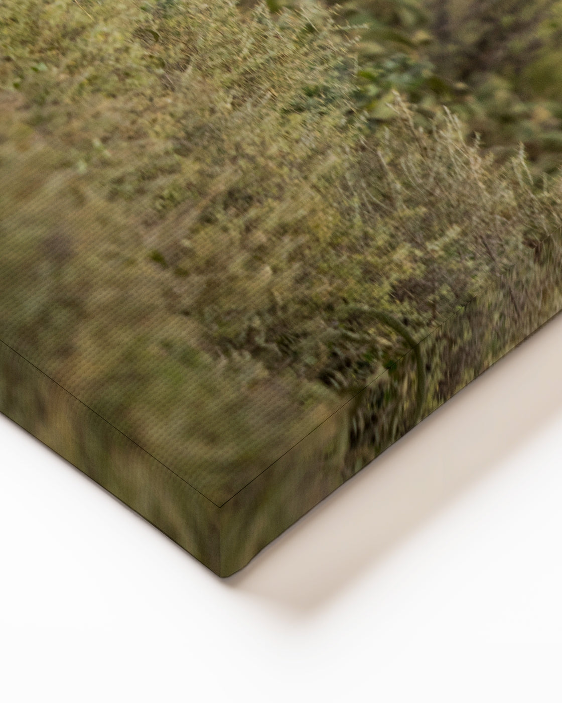 stretched-canvas