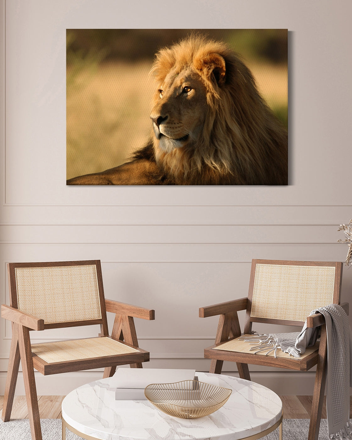 stretched-canvas