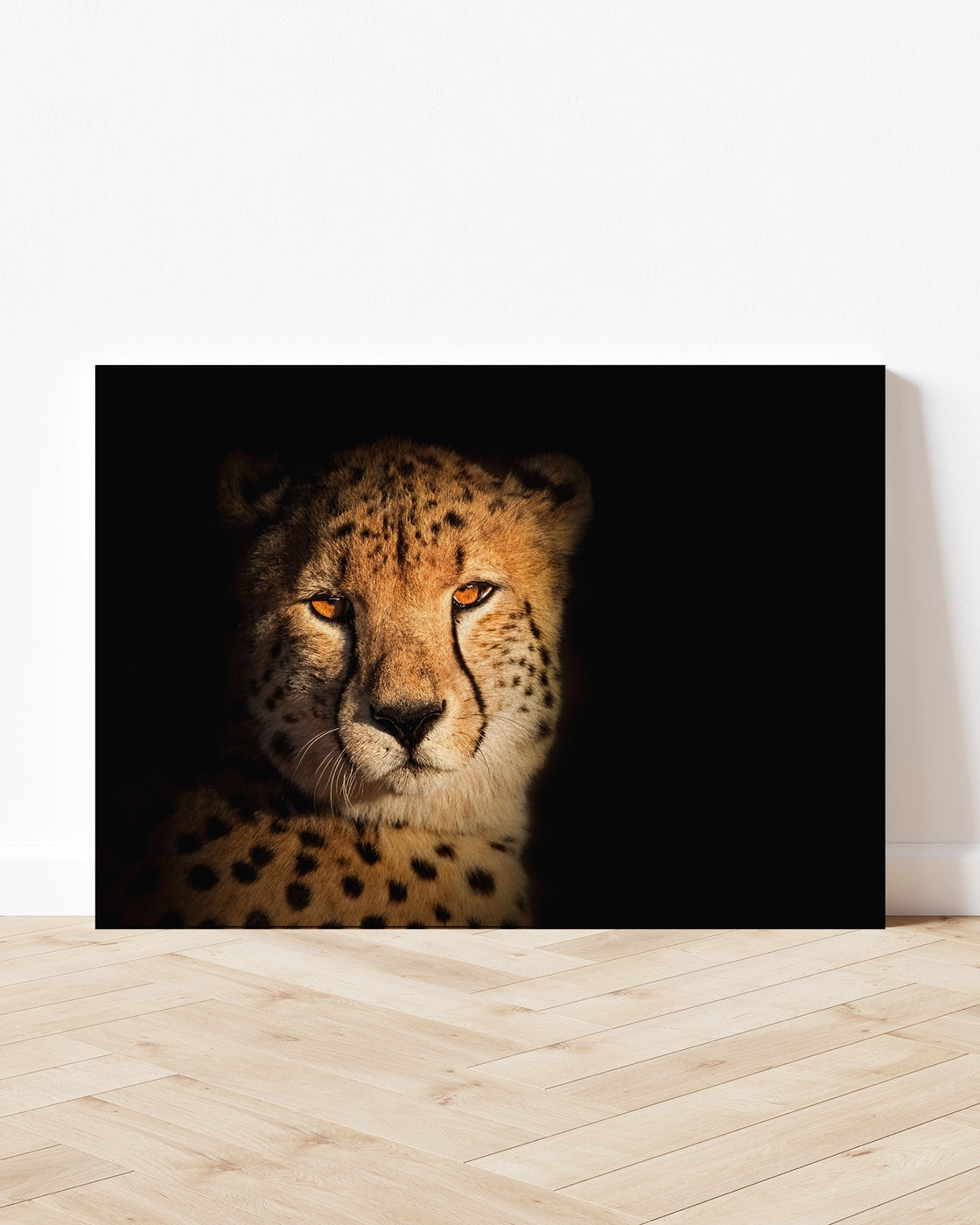 stretched-canvas