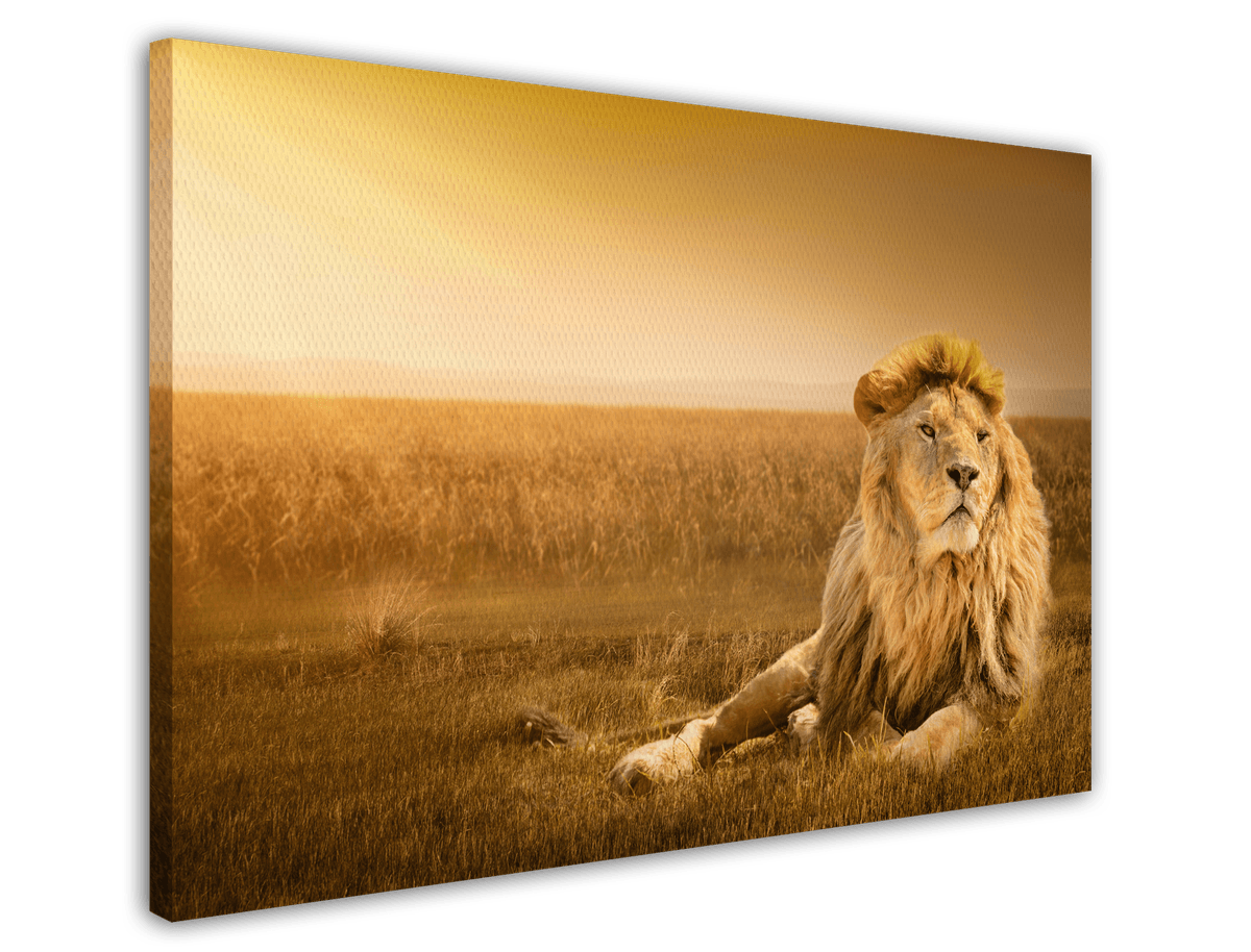 stretched-canvas