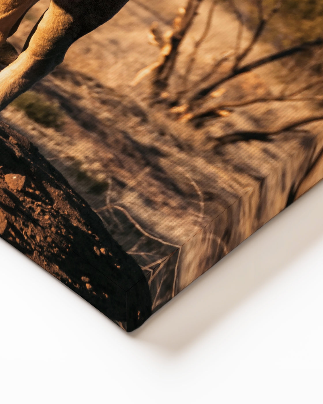 stretched-canvas