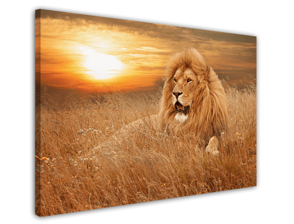 stretched-canvas