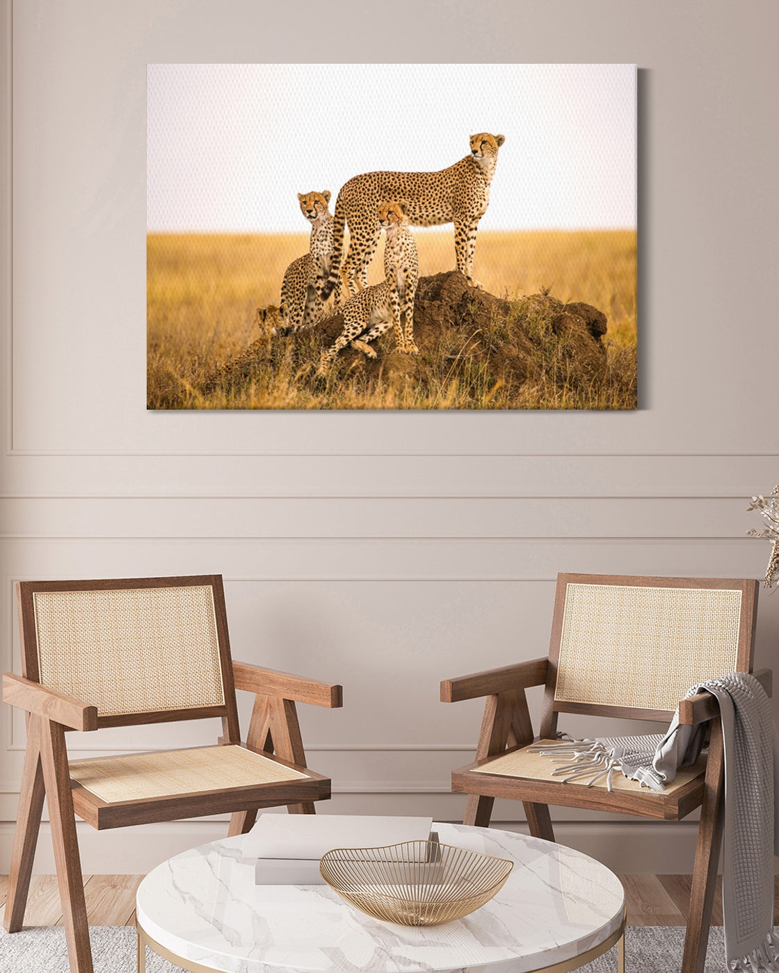 stretched-canvas