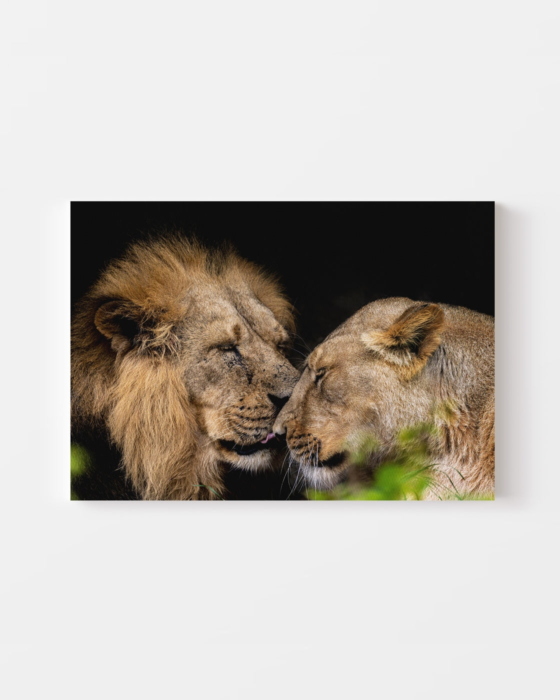 stretched-canvas