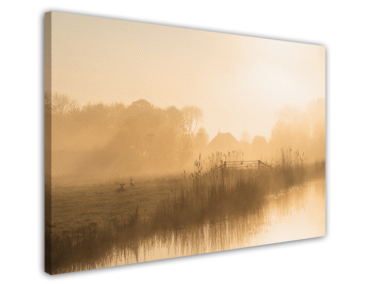 stretched-canvas