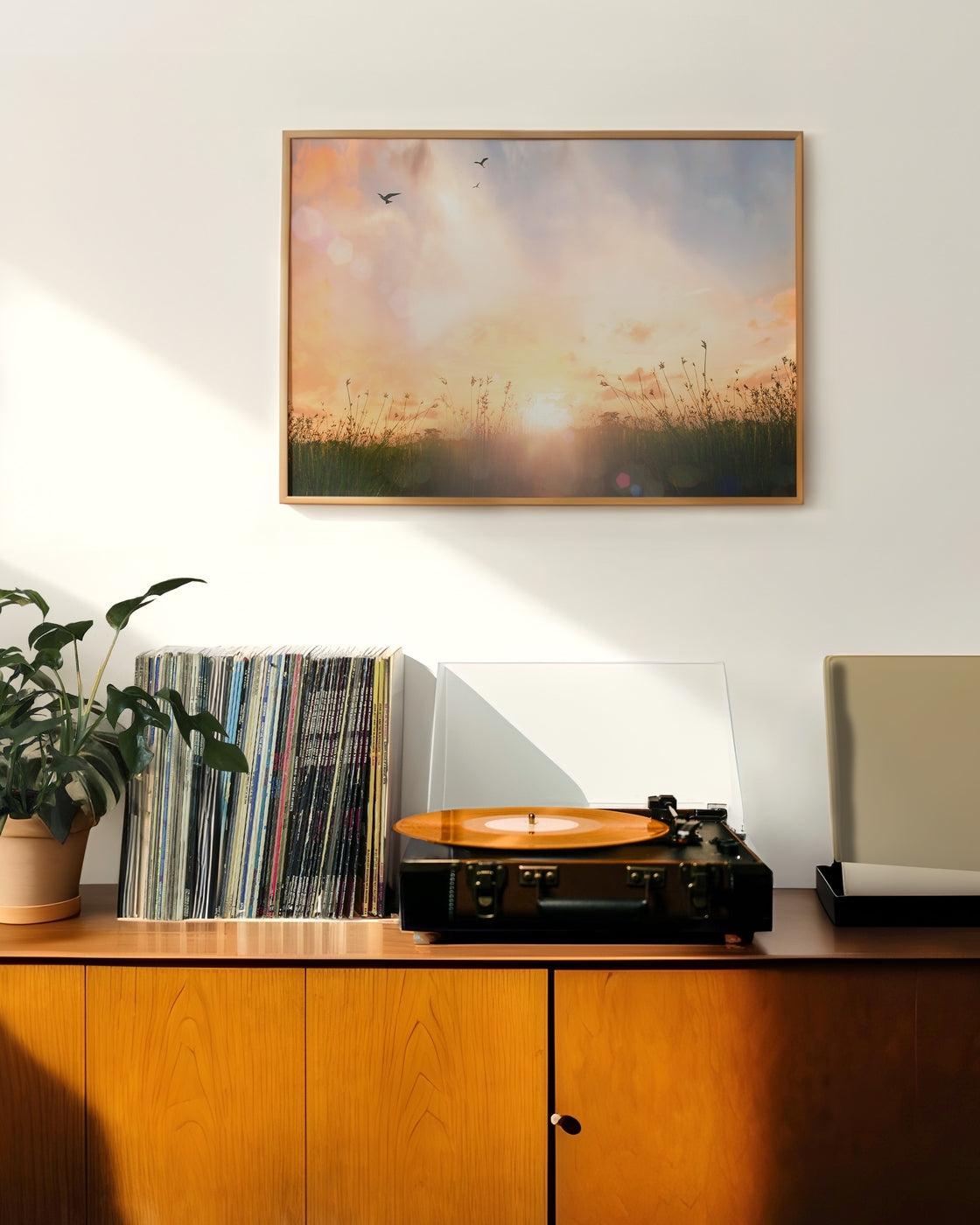 canvas