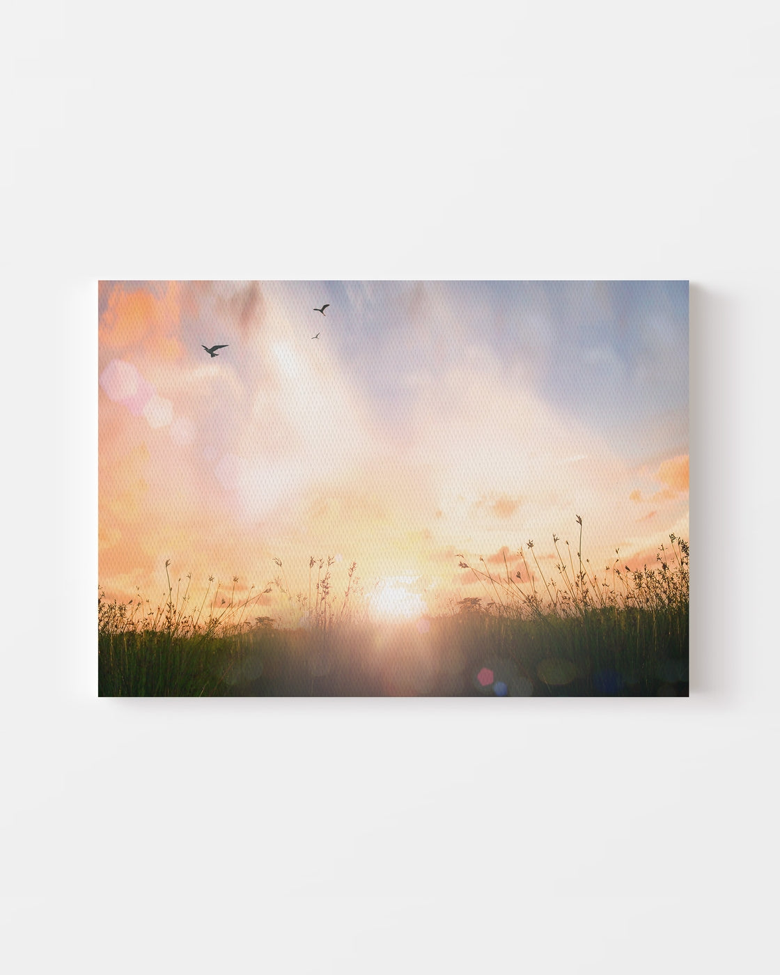 stretched-canvas