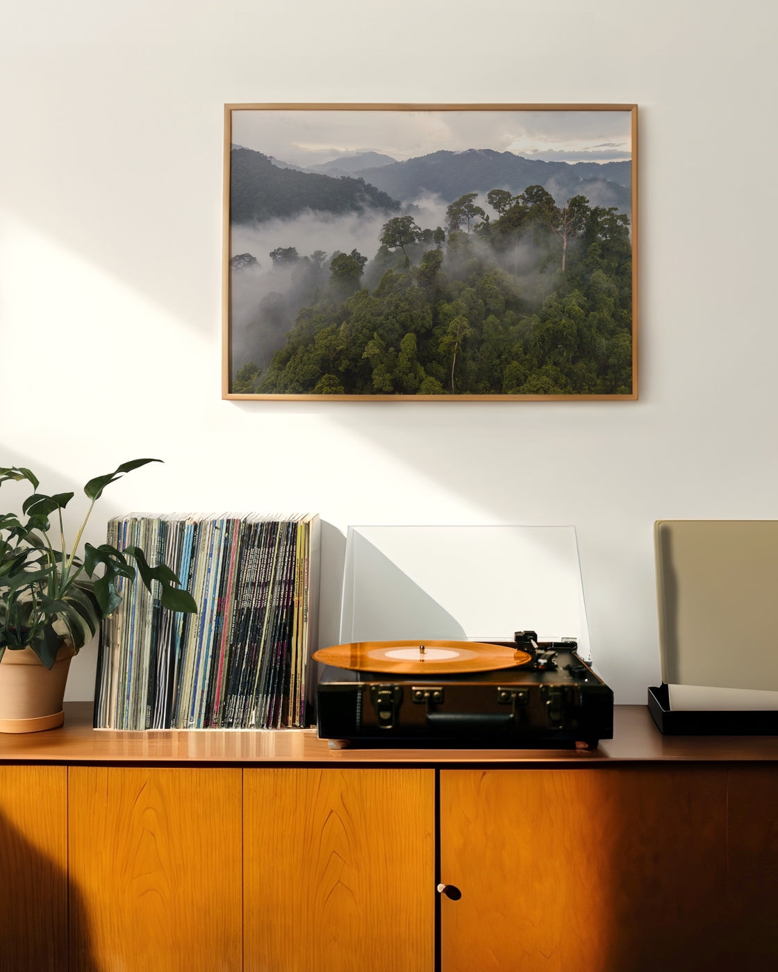 canvas