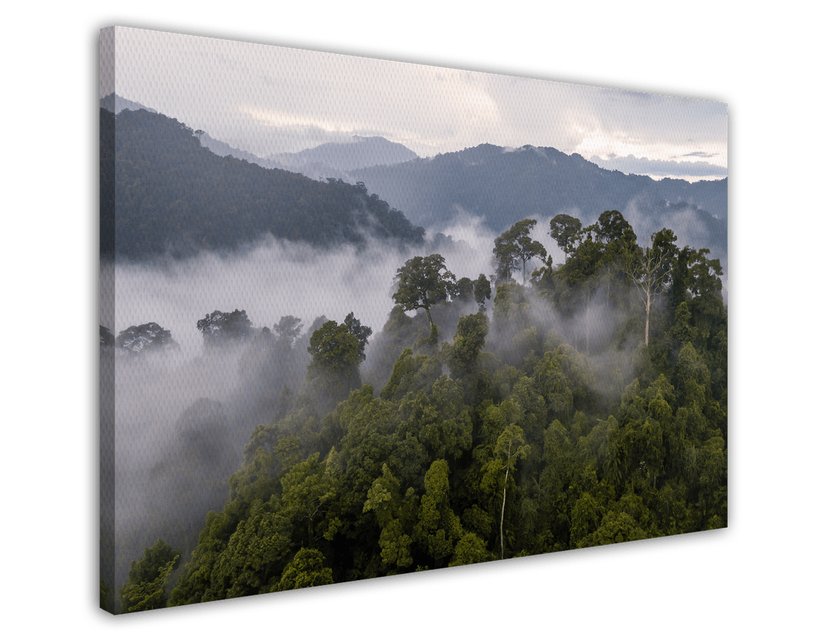 stretched-canvas