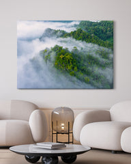 After Hover: Wälder im Nebel
