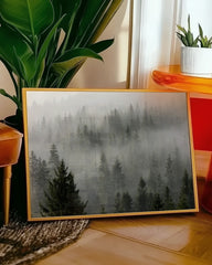 After Hover: Wald im Nebel