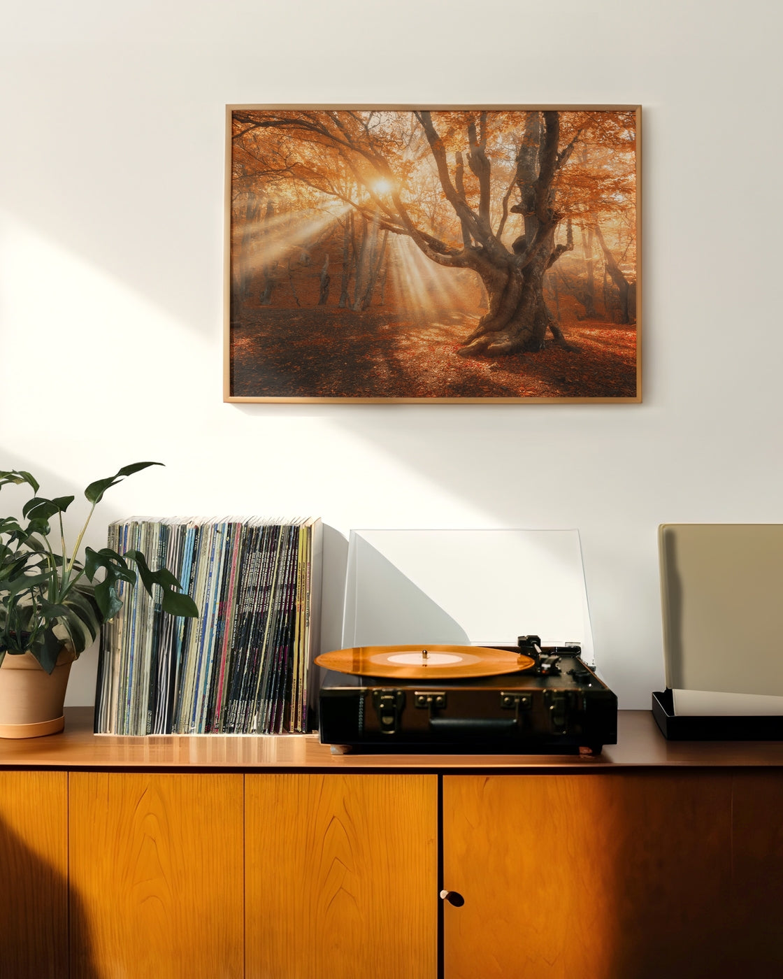 canvas