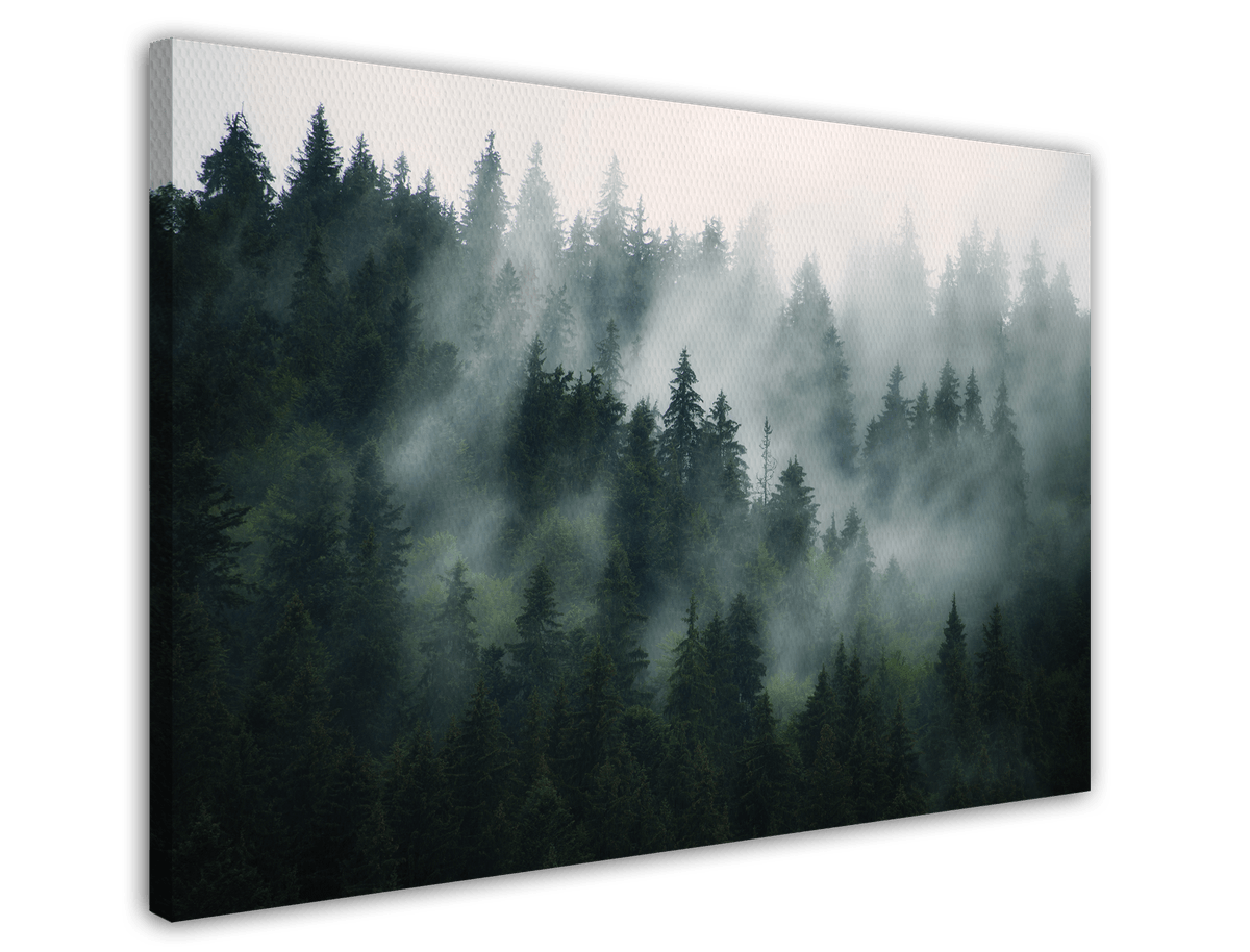 stretched-canvas