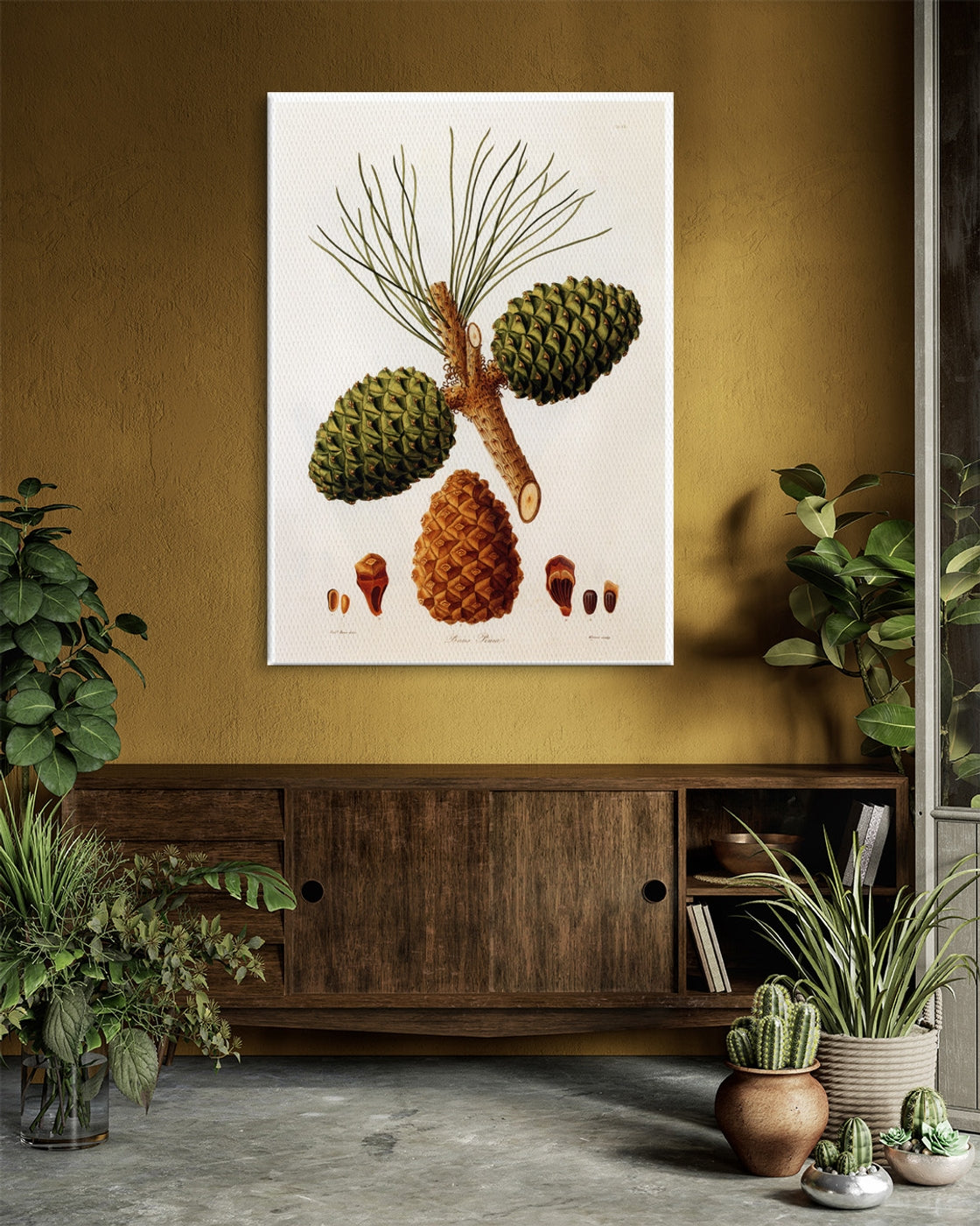 stretched-canvas