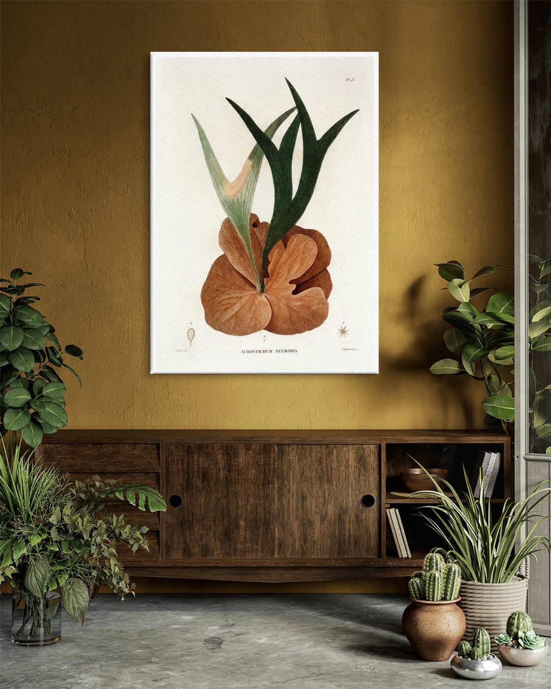 stretched-canvas