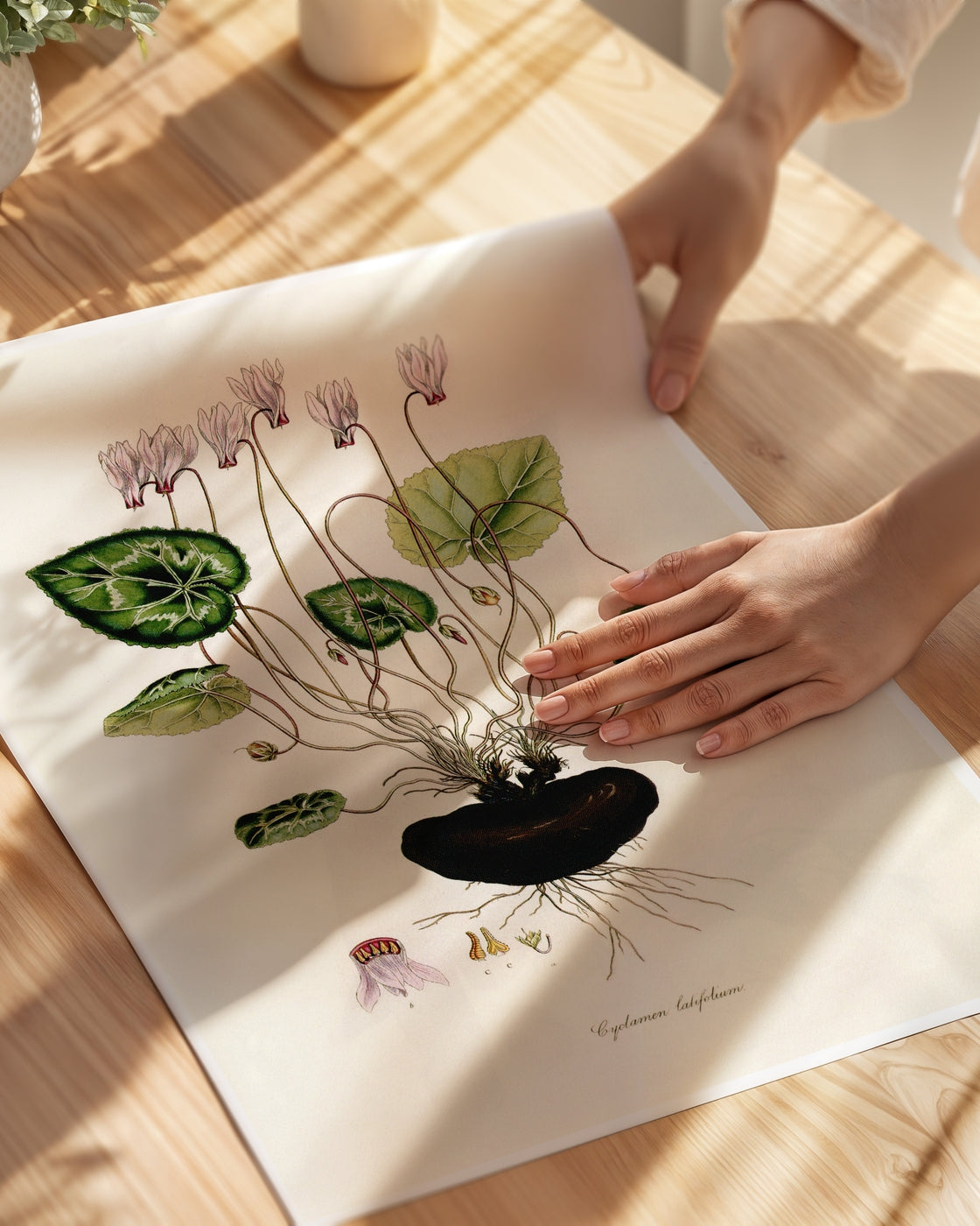 poster