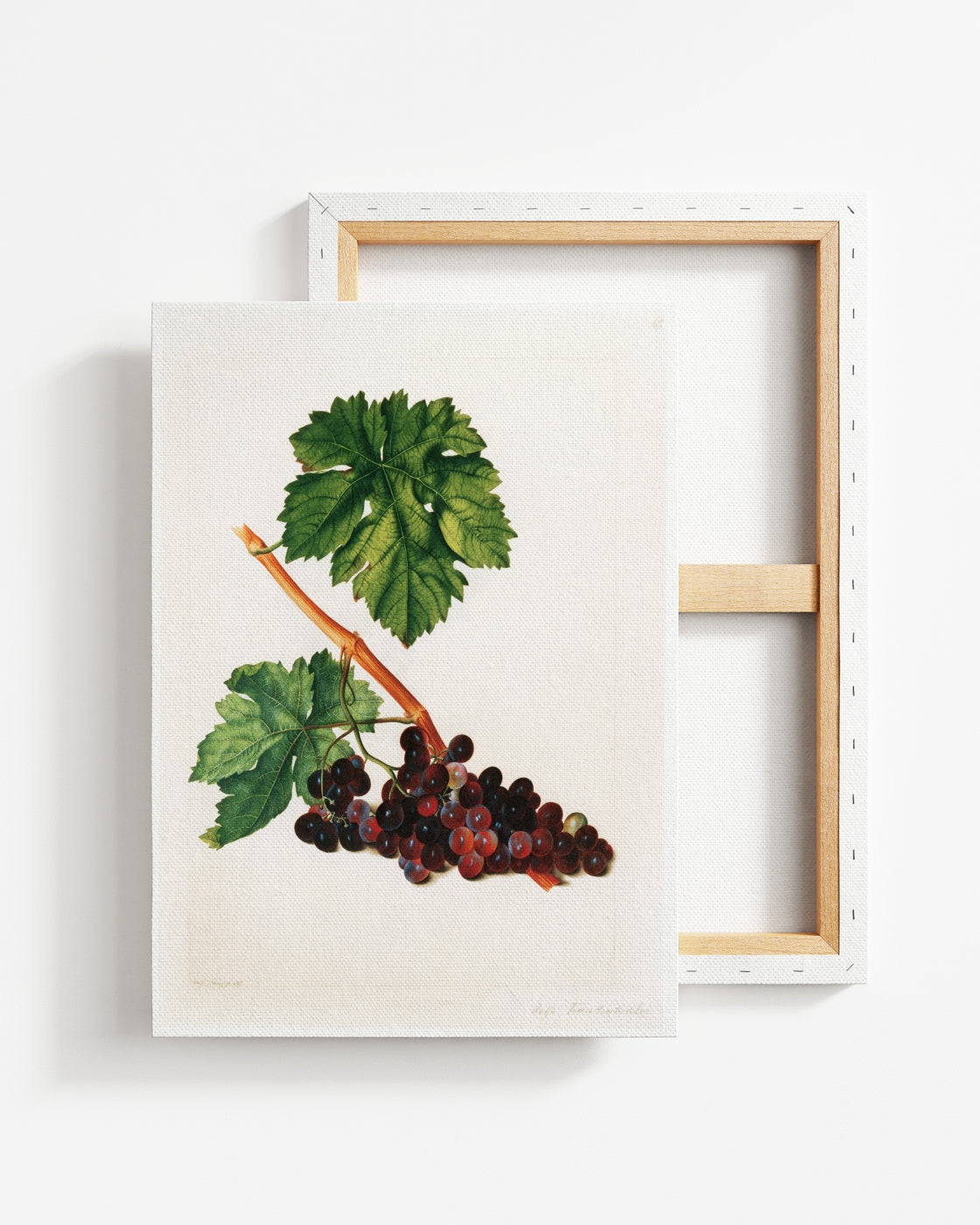stretched-canvas