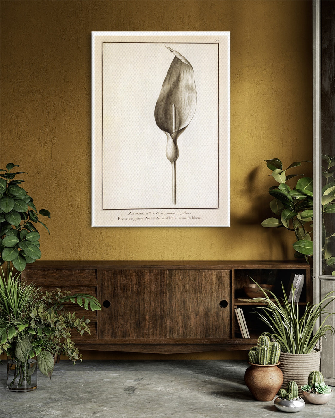 stretched-canvas