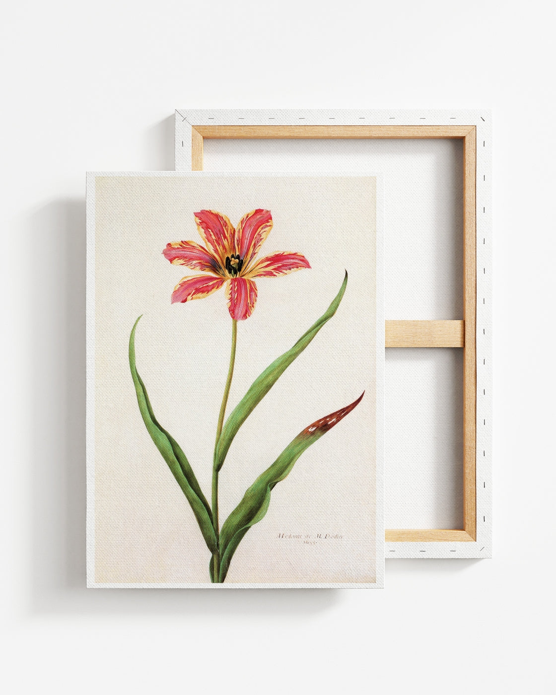 stretched-canvas