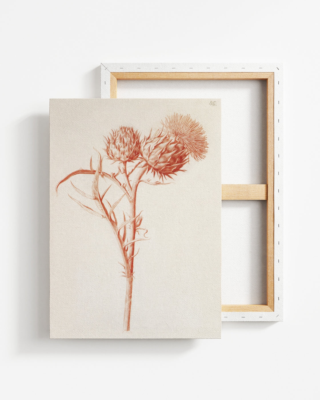 stretched-canvas