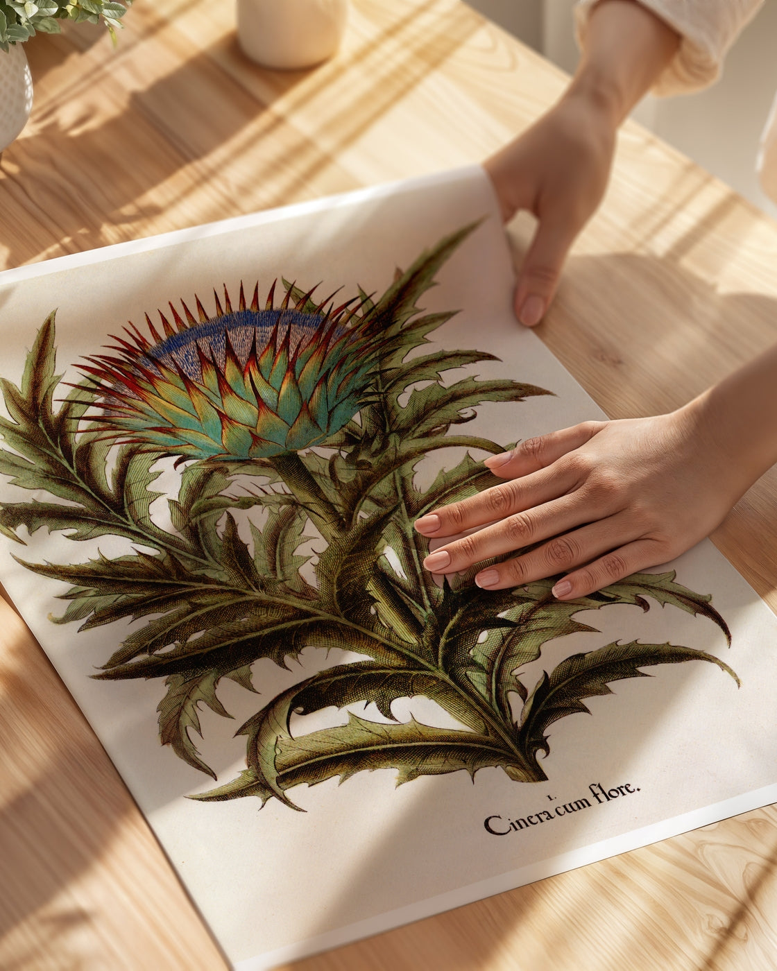 poster