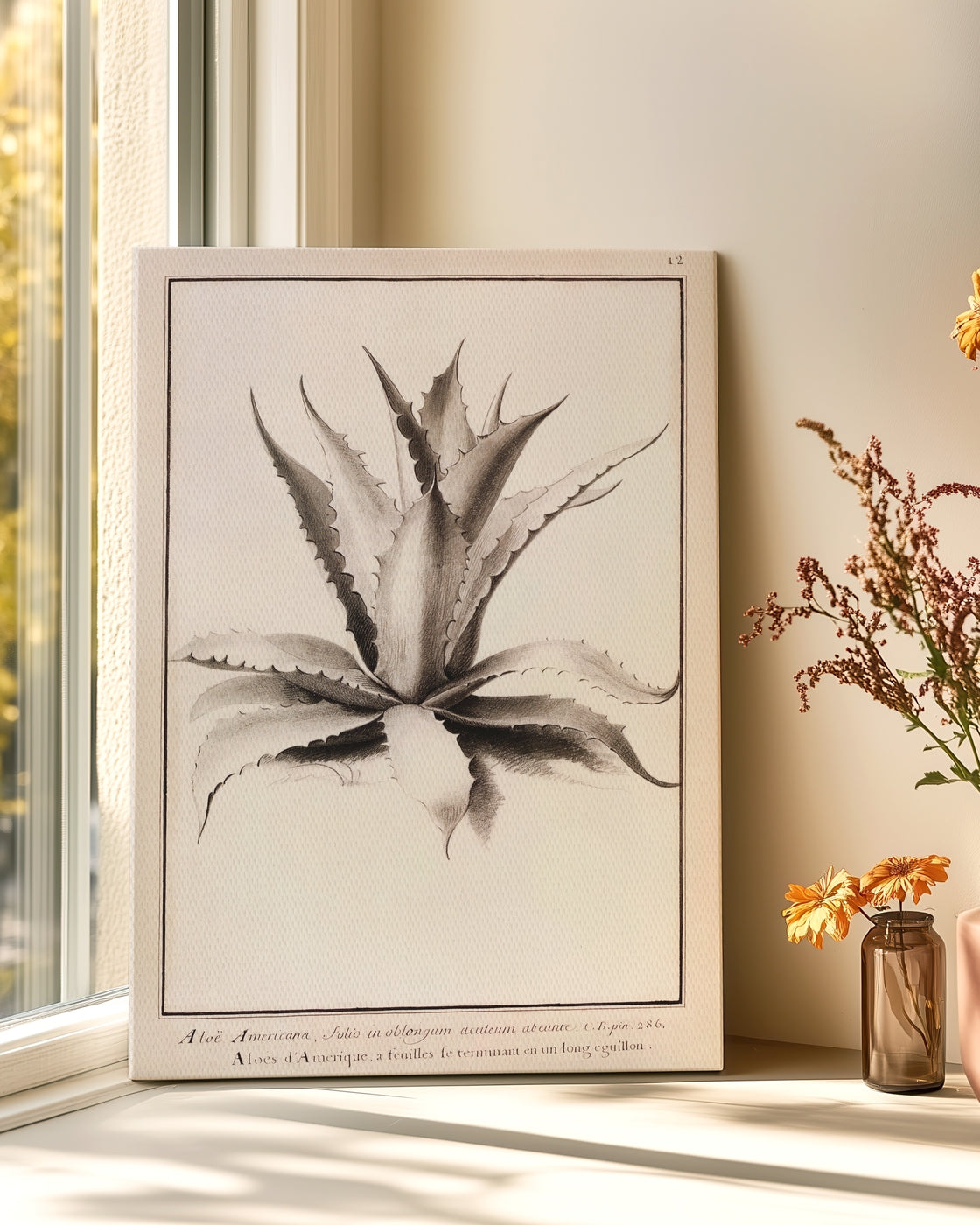 stretched-canvas