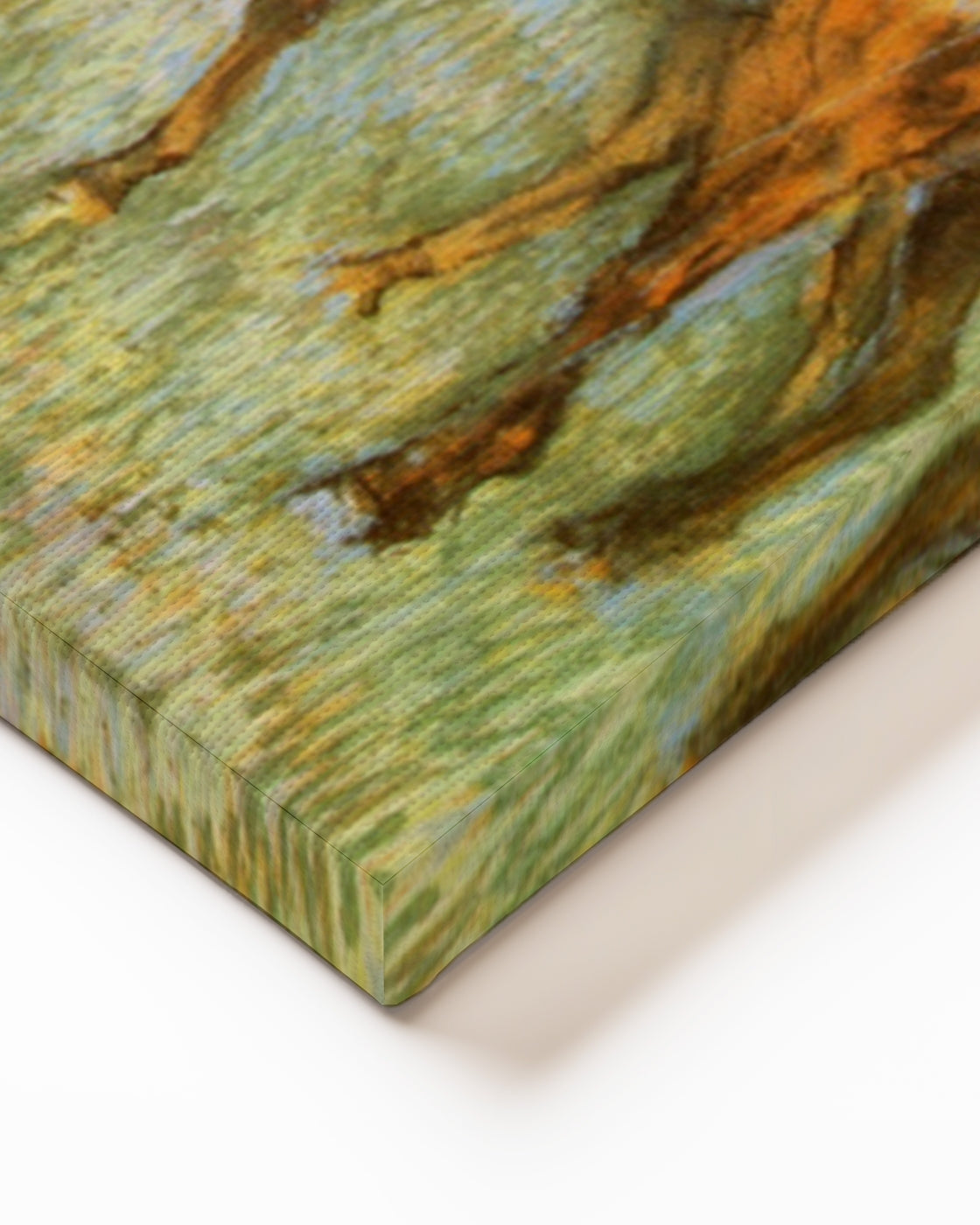 stretched-canvas